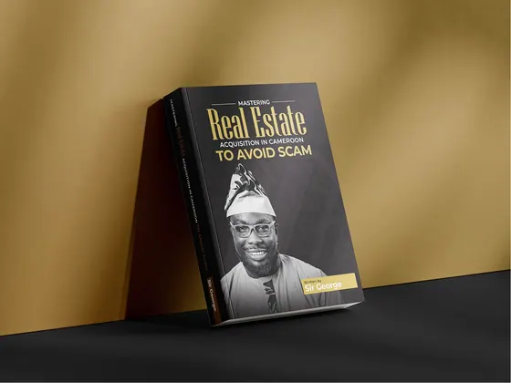 Book Cover Design image 2