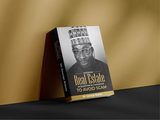 Book Cover Design image 3