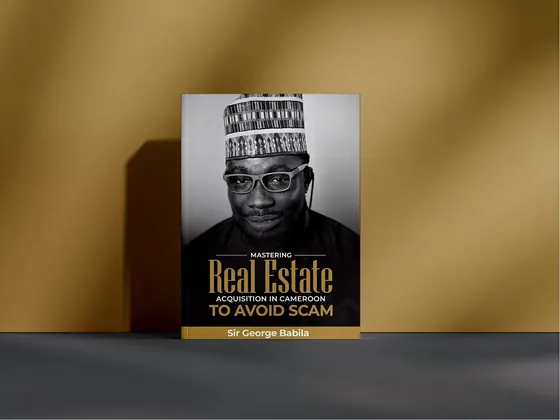 Book Cover Design image 4