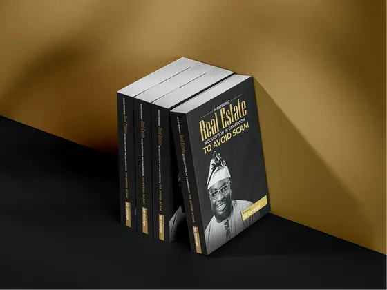 Book Cover Design image 9