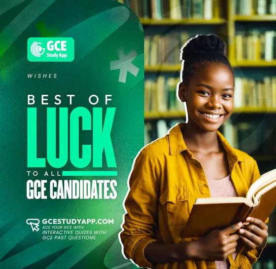 GCE Study App image 1